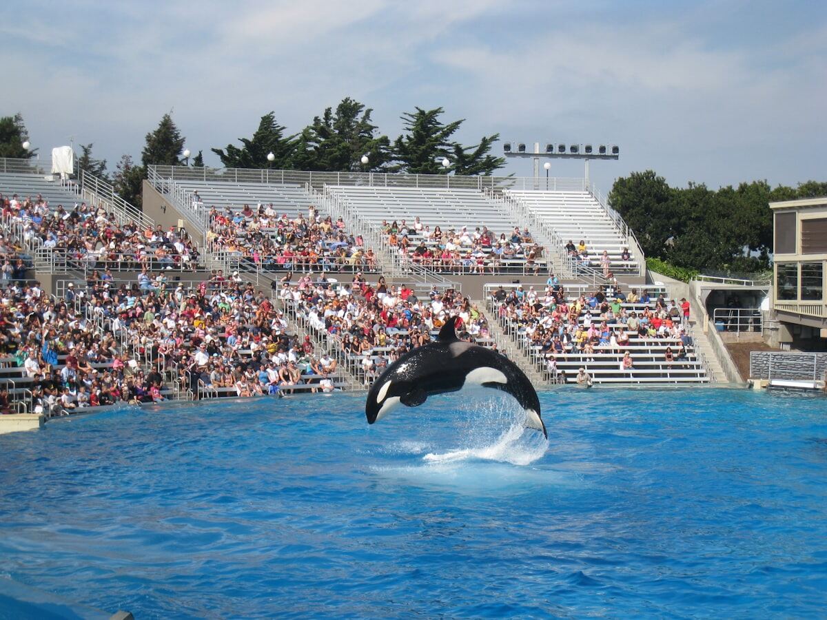 SeaWorld